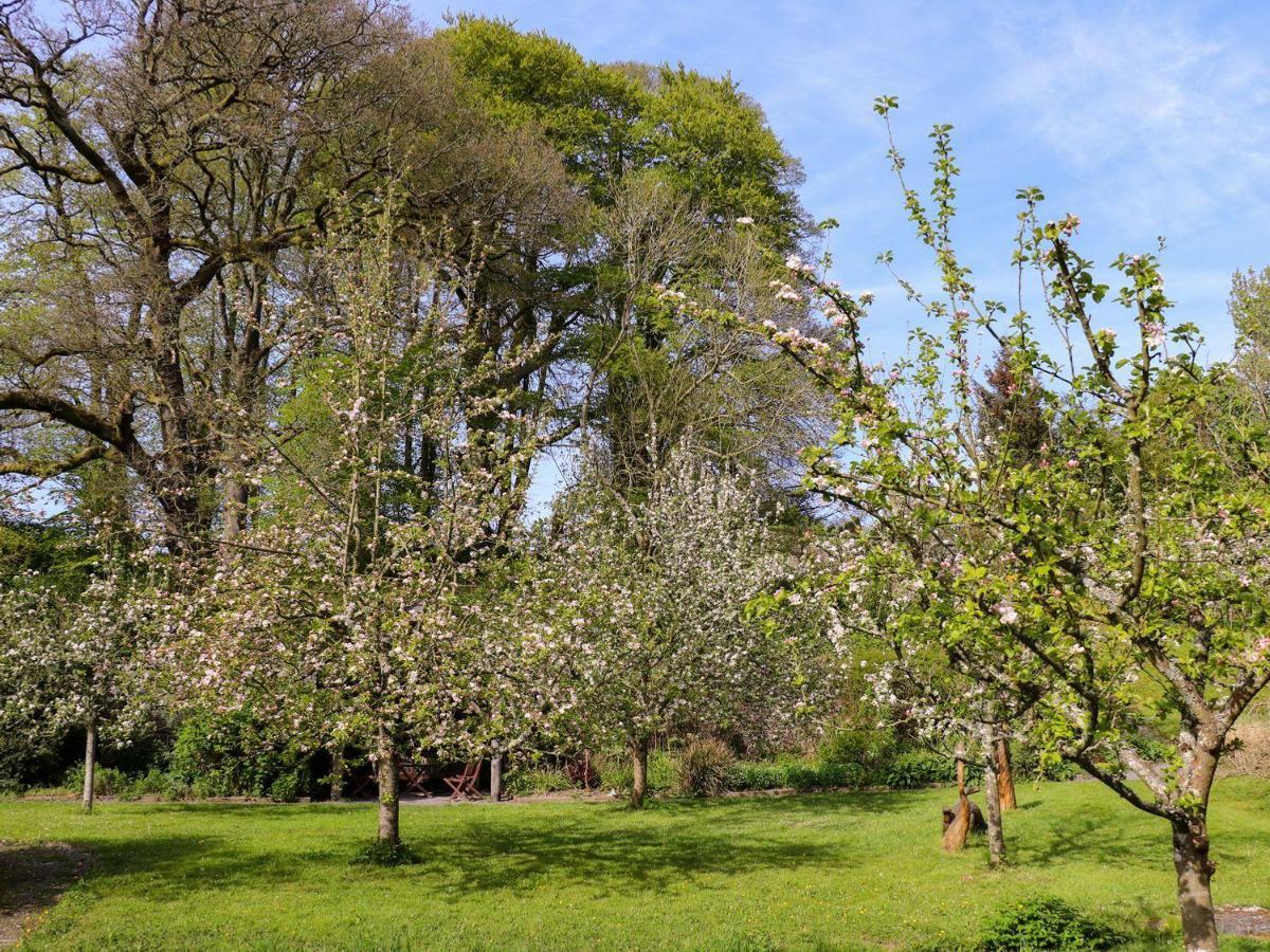 Y Bwthyn Bach Villa Aberaeron Luaran gambar